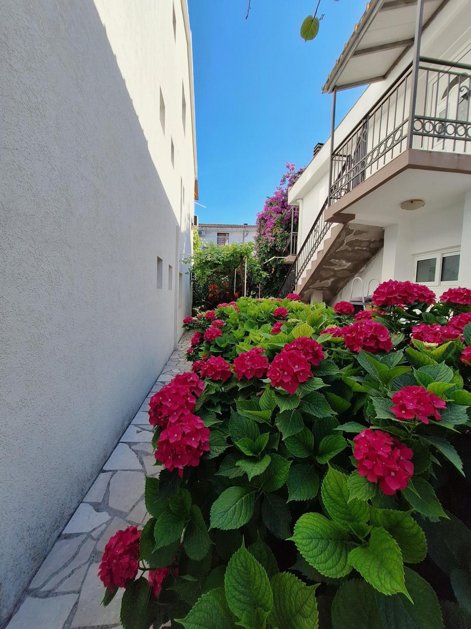 Apartmani Hortenzija Budva Exterior photo